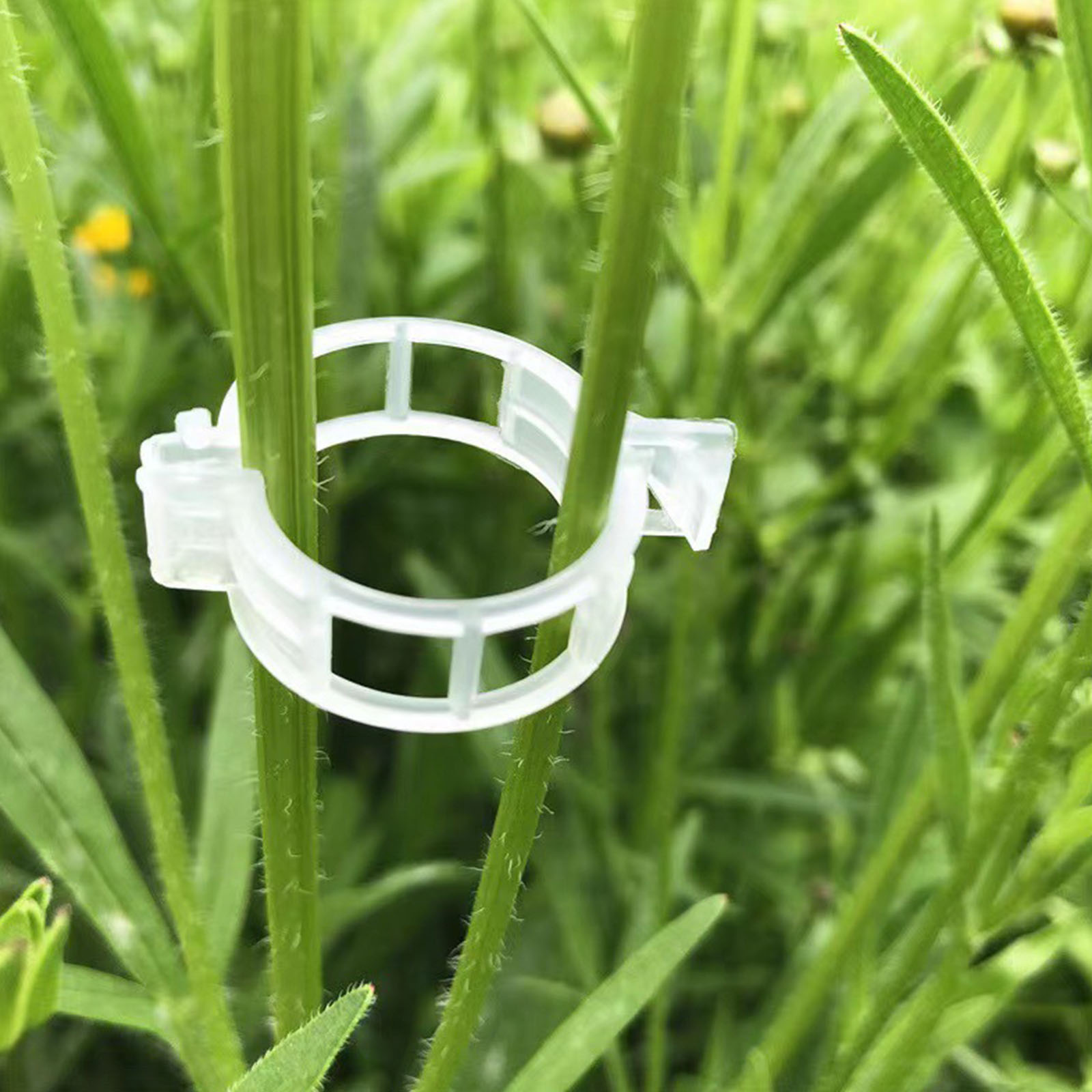 Vine Climbing Plastic - Secured Plastic Plant Clip for Securing