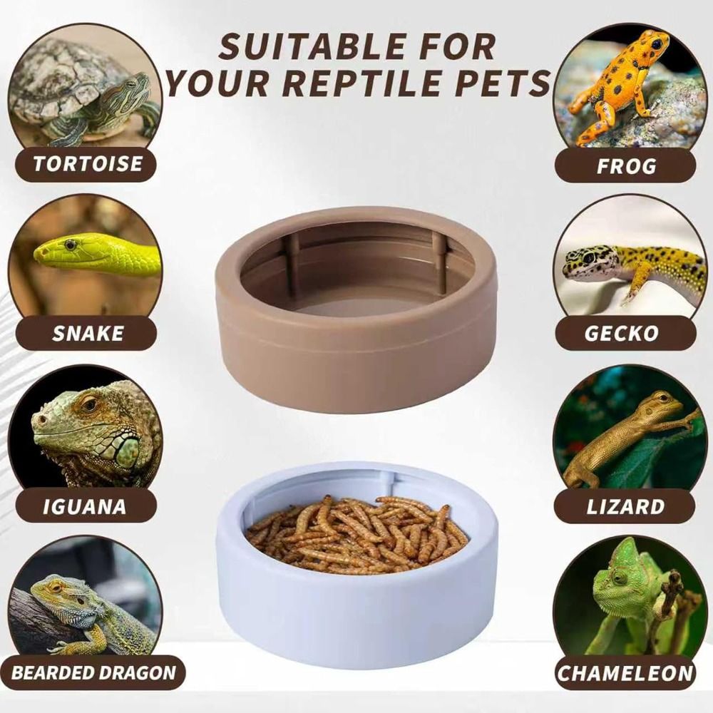 Portable Escape-Proof Reptile  - Water Dish Reptile 评论和价格