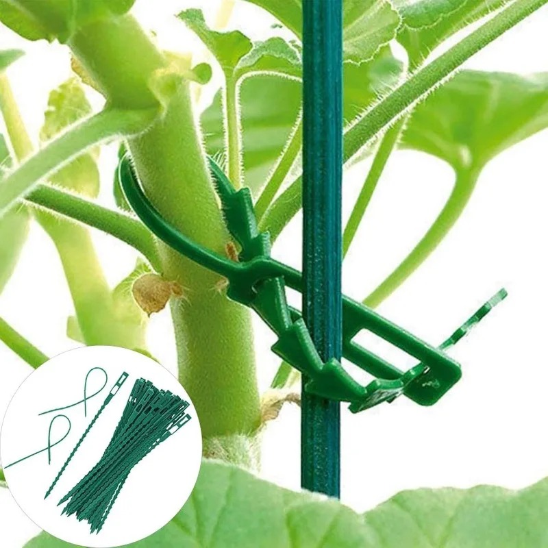 Wholesale Reusable Plant Fixed - Vine Climbing Plastic 评论和价格