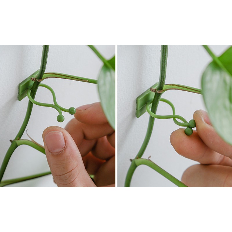 10Pcs Plant Wall Fixing Hooks  - Vine Climbing Plastic 评论和价格