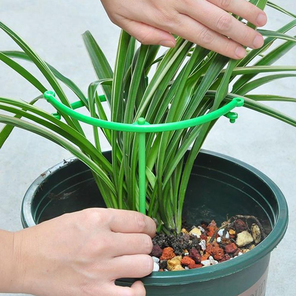Adjustable Green Checkered Gar - Vine Climbing Plastic 评论和价格