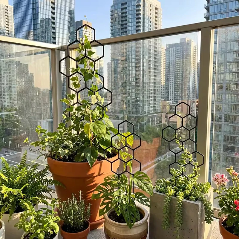 2/4pcs Honeycomb Design Plant  - Vine Climbing Plastic 评论和价格