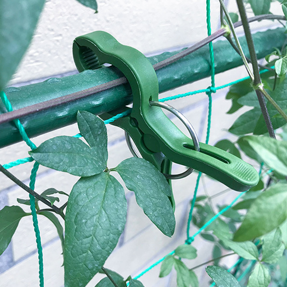 60Pcs Plant Support Clips for  - Vine Climbing Plastic 评论和价格