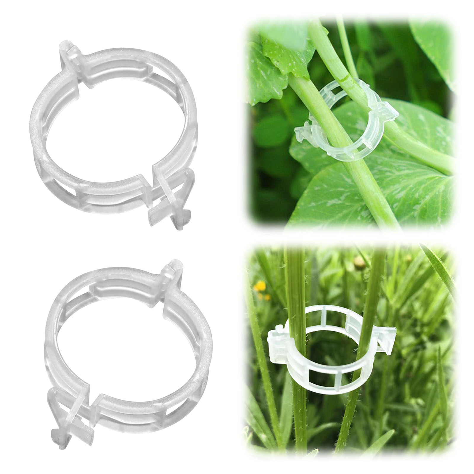 Secured Plastic Plant Clip for - Vine Climbing Plastic 评论和价格