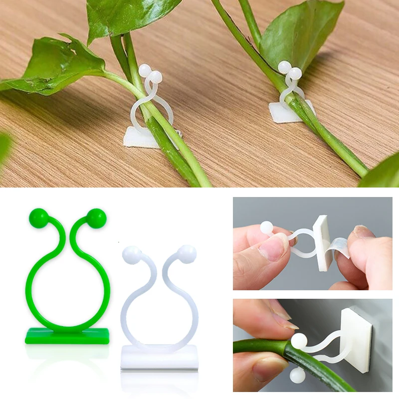 Plant Climbing Wall Self-Adhes - Vine Climbing Plastic 评论和价格
